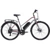 Электровелосипед Ritma BRAMBI313 2022 (серый)